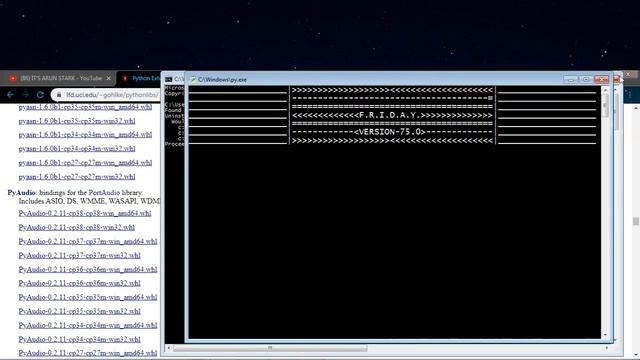 How to (Succesfully) Install PyAudio|(solved) смотреть онлайн