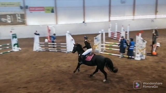 Greylands Playgirl, tävling Botkyrka 2022.11.06 смотреть онлайн