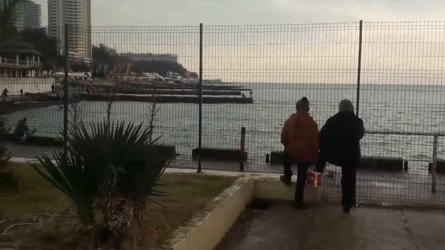 Быстрая экскурсия по Майами. смотреть онлайн