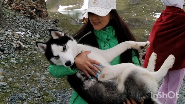 Перевал Тоо-Ашуу, суулуторские озёра, суусамырская долина . 28.06.2020 смотреть онлайн