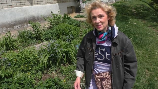 Как укоренить черенки мандарина (Cītrus reticulāta). Пять секретов посадки в грунт смотреть онлайн