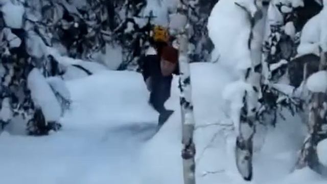 Будни изыскателя смотреть онлайн