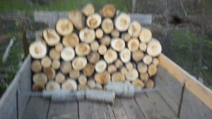 ЗИЛ 157, первый выезд в деляну, первая машина дров в 2022.