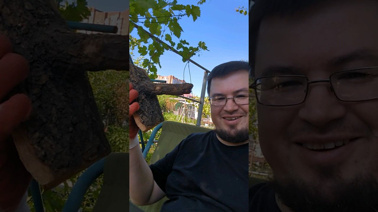 что это ? Буратино ? смотреть онлайн