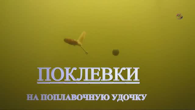 Поплавок, 🐟 Рыбалка на озерах_ Карасун и бывший карьер в Адыгее, Подводная съемка, Fishing. Поклёвк смотреть онлайн