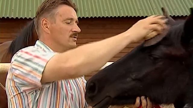 Галилео ? Как приручить лошадь? [Horses Dressage]