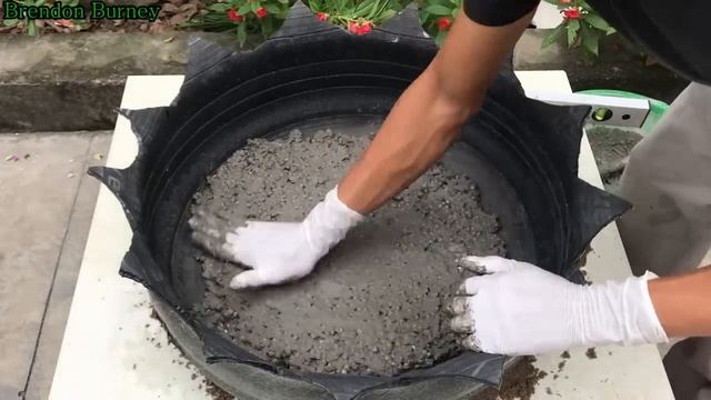 Creative Ideas Potted Plants At Home // Make Potted Plants From Cement And Old Tires