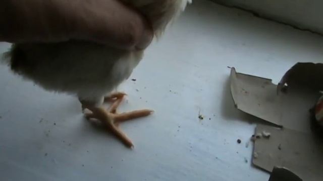 Знакомство с строительными мастерами