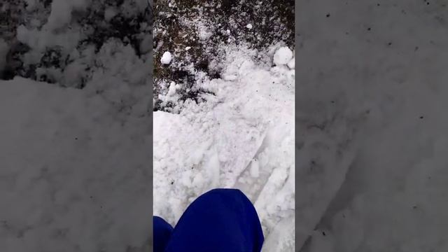 Блестят как у кота яйца смотреть онлайн