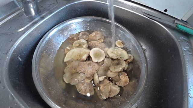 Веганские Ресторанчики и Кафе