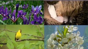 Краски  - весна (песня про весну в РОССИИ)