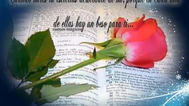 La amistad es como una planta🌱🌱 que hay que estarla cuidando 💐 смотреть онлайн