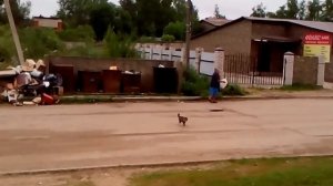 Самый главный по памойкам