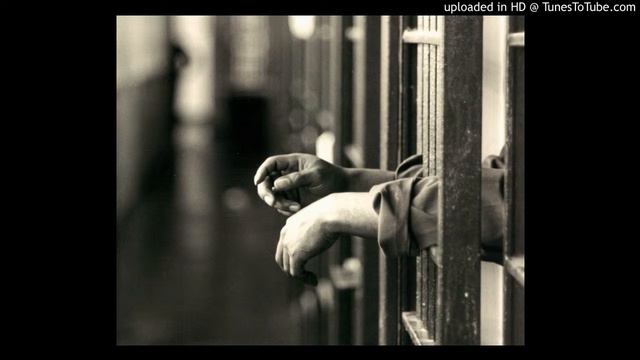 черный дельфин (music channel) смотреть онлайн