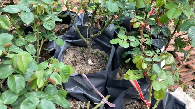 Травень 2023 смотреть онлайн