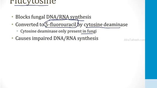 Infectious Diseases - 4. Fungi - 4.Antifungal Drugs atf смотреть онлайн