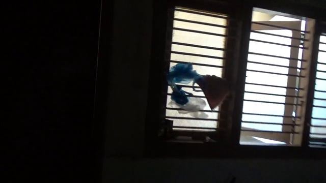 Couchsurfing in India. В гостях у семьи Ганеша.Деревня Пдьюбеле(Удупи) смотреть онлайн