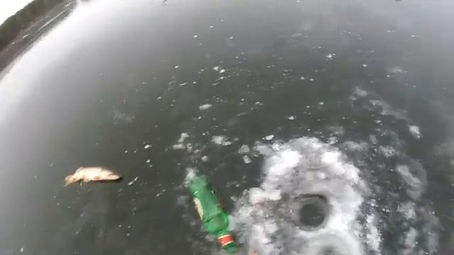 ПЕРВЫЙ ЛЕД. 2020-2021. 2 часть смотреть онлайн