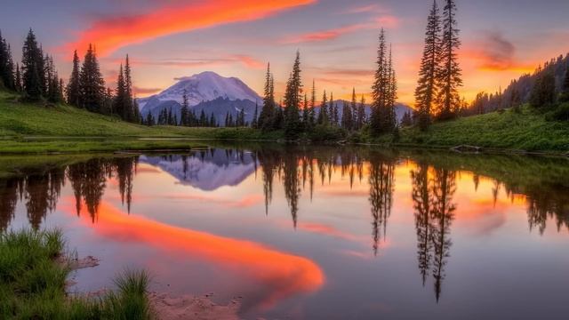 ?Истории из жизни ?Племянник матери живёт у неё и не стесняется?Жизненные истории ? Аудио рассказы смотреть онлайн