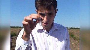 Картофельная моль