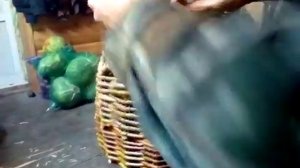 как сделать гнездо для курей из неокоренного прута лоза ива часть 2