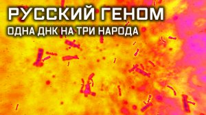 Русский геном. Одна ДНК на три народа. Улика из прошлого.
