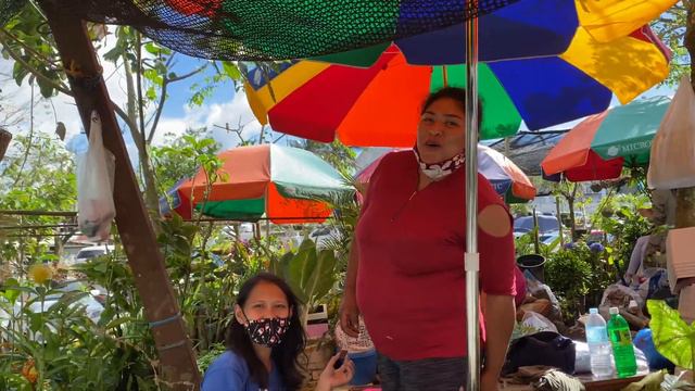 Plants And Fruit Trees Shopping At TAGAYTAY MAHOGANY MARKET