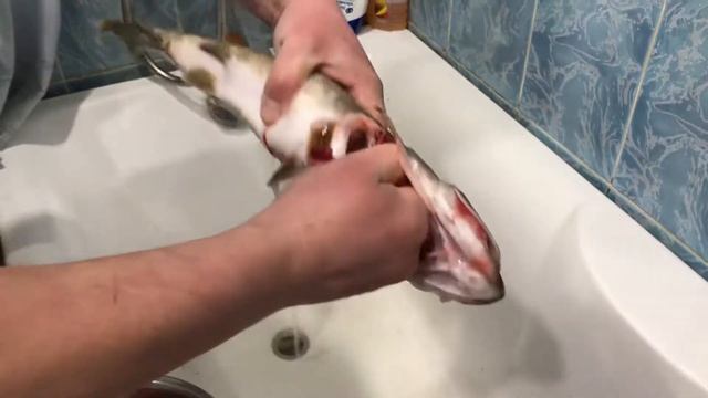 Как разделывать щуку... смотреть онлайн