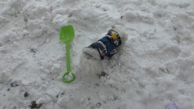 ВЫЖИВАЕМ В ЛАГЕРЕ НА ЗАКОЛДОВАННОМ ОЗЕРЕ С КОТАМИ ЗИМОЙ! ИСПЫТАНИЯ НА ВЫНОСЛИВОСТЬ смотреть онлайн