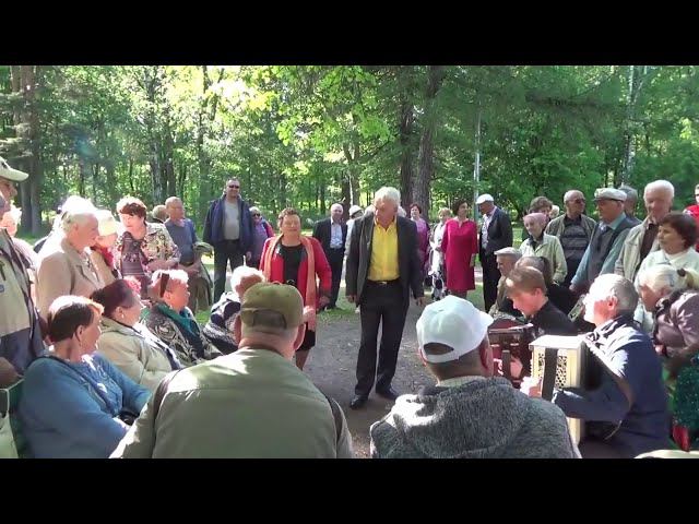 Припевки под Елецкую Роялку и Баяны - Подарок из Питера! смотреть онлайн