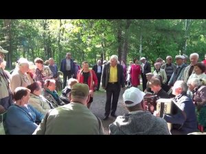 Припевки под Елецкую Роялку и Баяны - Подарок из Питера!