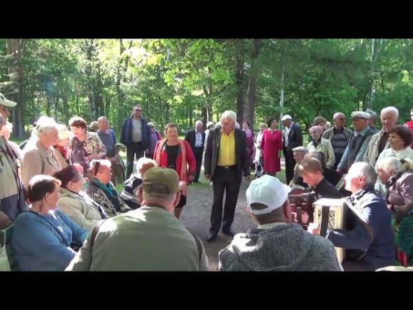 Припевки под Елецкую Роялку и Баяны - Подарок из Питера!