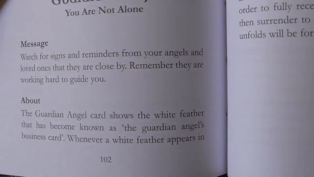 Angels&Ancestors Oracle unboxing and a random message you may need to hear? Kyle Gray/Lily Moses смотреть онлайн