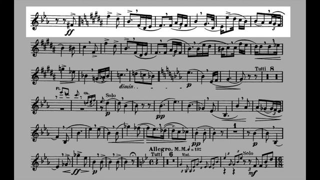 HORN CONCERTO 1, Richard Strauss PLAY ALONG смотреть онлайн