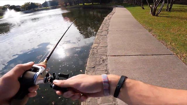 MEGA Mystery Box Fishing Challenge (Pond Hopping Mission) смотреть онлайн