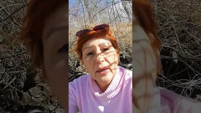 Зачем заниматься саморазвитием? Продолжение. смотреть онлайн