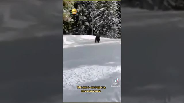 Можно смотреть вечно