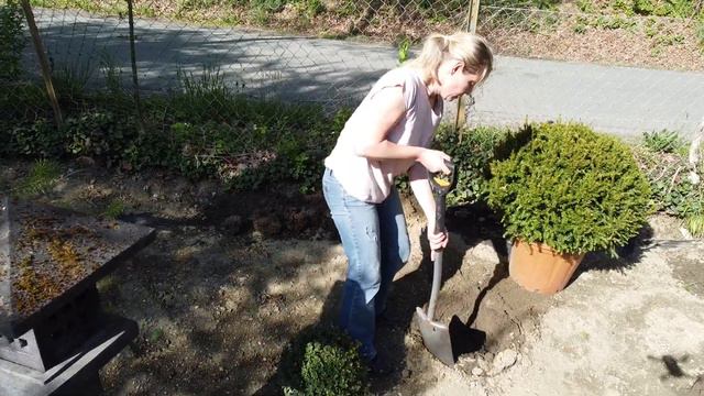 Planting the Front Zen Area - Part Two | Our Japanese Garden Escape смотреть онлайн