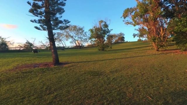 Point Cartwright, Queensland @ 2.7K60fps (Xiaomi Yi 4K+ Quality Test)
