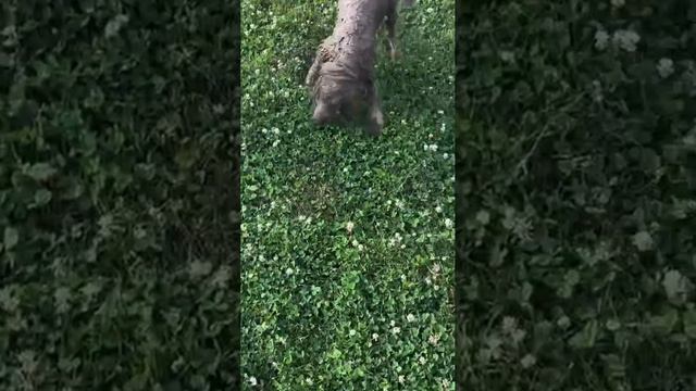 Дайте кого нибудь обнять 😝 смотреть онлайн