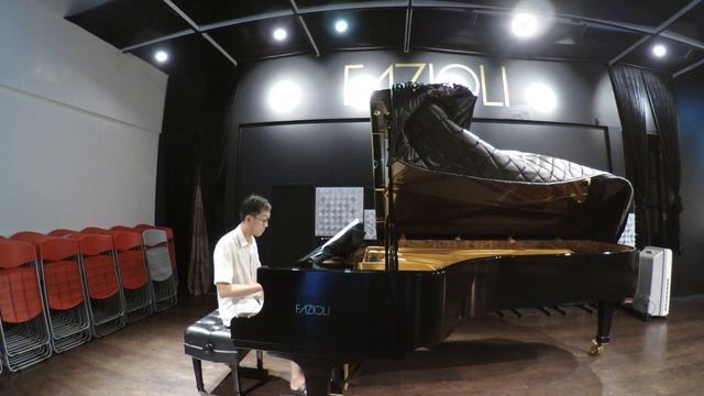 Ravel Pavane for a Dead Princess, Fazioli F278, Zoom Q8 смотреть онлайн