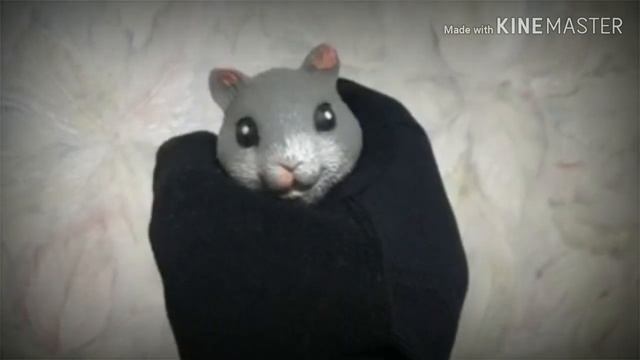 Хомяк в парикмахерской смотреть онлайн