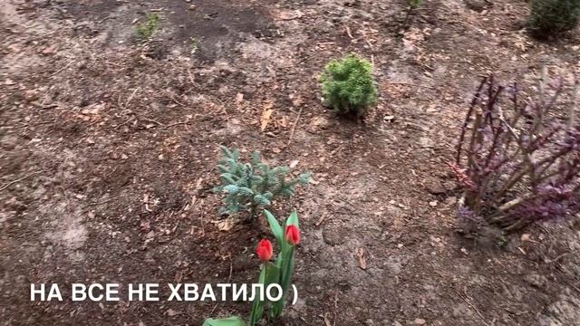 РЕКОНСТРУКЦИЯ УЧАСТКА С ПЛОЩАДКОЙ ПОД САДОВУЮ КАЧЕЛЮ ? смотреть онлайн