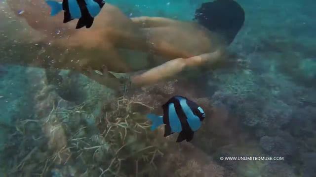 Фридайвинг, возвращение к истокам ,FLUID ECSTASY the return to our origins 2015 censored смотреть онлайн