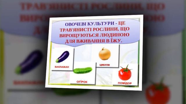 Сільськогосподарські рослини, урок в 6 класі смотреть онлайн