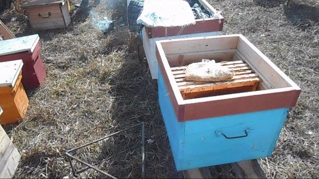 Весенняя ревизия и пересадка пчёл смотреть онлайн