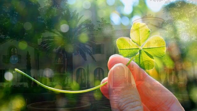 С днём рождения, Анастасия! Прекрасное поздравление от всей души! смотреть онлайн