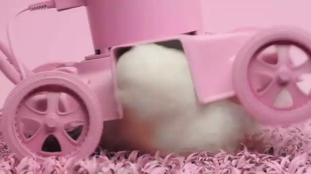 Différentes manières de tuer un ours en peluche смотреть онлайн