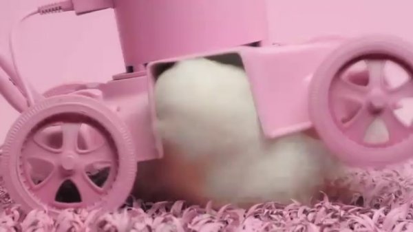 Différentes manières de tuer un ours en peluche